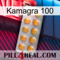 Kamagra 100 levitra1